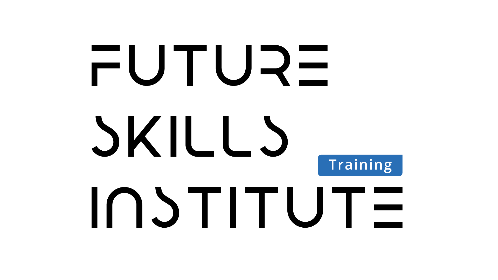 Future Skills Institute 